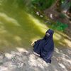 samiya.islam3318