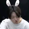 🐰