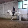 toffa9000