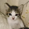 AUBHRY