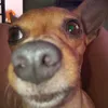 luazinha975