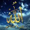 user496174813253