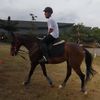 omelonebayu
