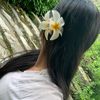 rijanabardewa111