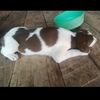 user8252320197414