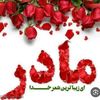 user28500823124794