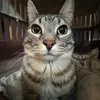qwkksqw1