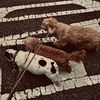 sofiathe_first__