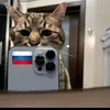 vivilotik