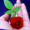 arun51827