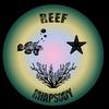 REEF RHAPSODY