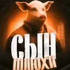 user194914303530