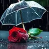 user2512163614091
