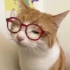 justkatharina4