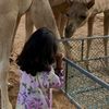 salema.al_darsi