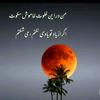 mohammad.nabi9593