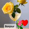 djenebadoumb8