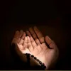 298islamicvideos