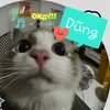 tiendungabcxyz9