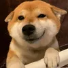 hi.o0037