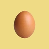 egg_friend_with_yolk