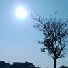 jagamulutmu_