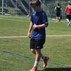 niklas.frbg