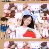 anhong_lie_sinn
