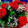 dilya__082