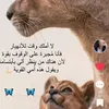 nourale71