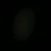 rhmdhbbyee