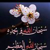 user5507176860144