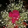 safikul.islam9251