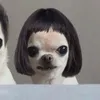 dagiunhac