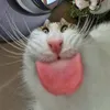 babainy