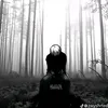 ali_eh112