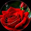 mohammed.wali718