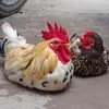 la.tiade.pedro