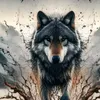 aivaz.samedov