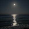 nobody_2270