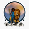 sixthhouse.labs