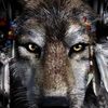 wolfspirit319