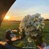 flowersofjune