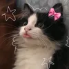 yani_3212