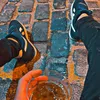 user21433516259744