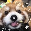 miaplay45