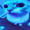 slicksigma5