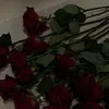 iurhycap0189