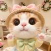 alws_liin