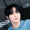 cut_tarry1